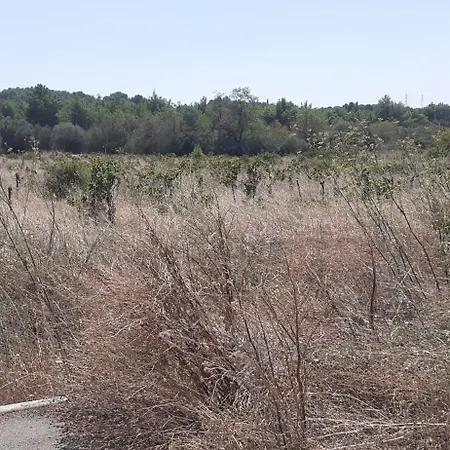 Casa de hóspedes D'hôtes Sigean