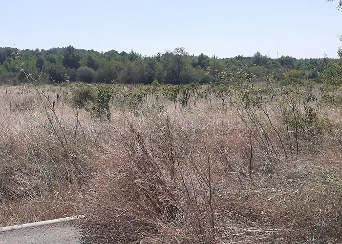 Vendégház D'hotes Sigean